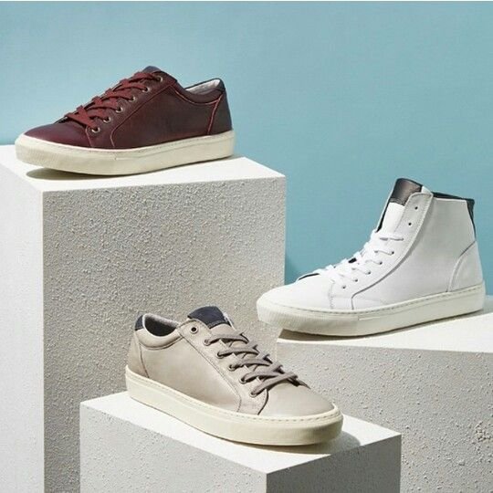 Adidas Campus Grey Sneakers for Men.