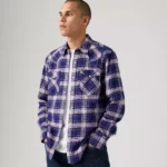 Barstow Standard Fit Western Shirt